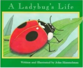 A Ladybug's Life.