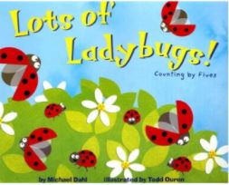 Lots of Ladybugs!