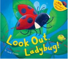 Look Out, Ladybug!